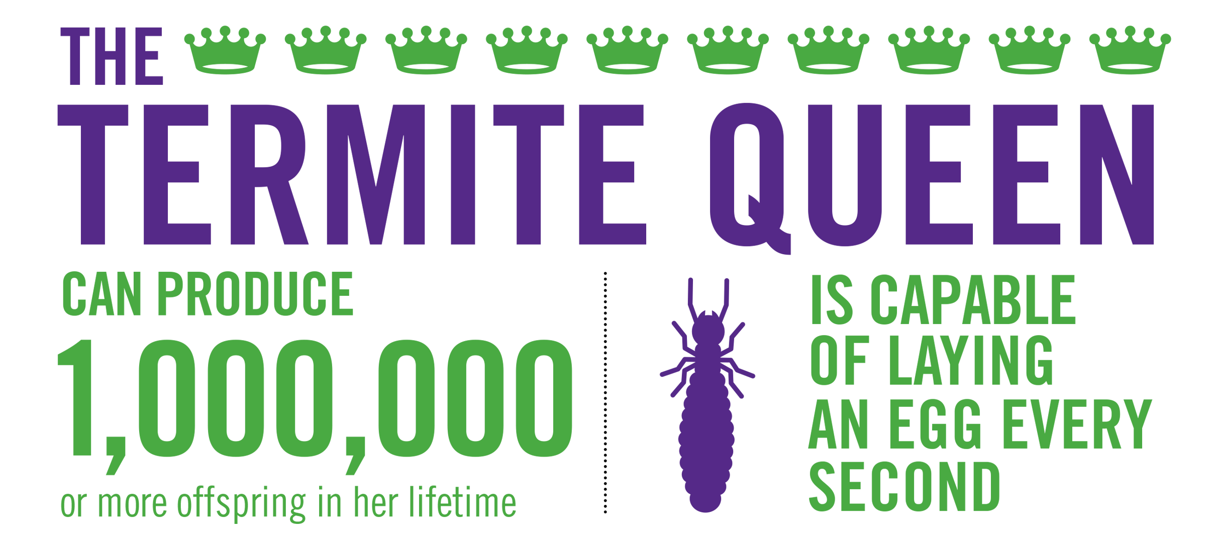 Termite Info by Sentricon |  Overall Pest Services